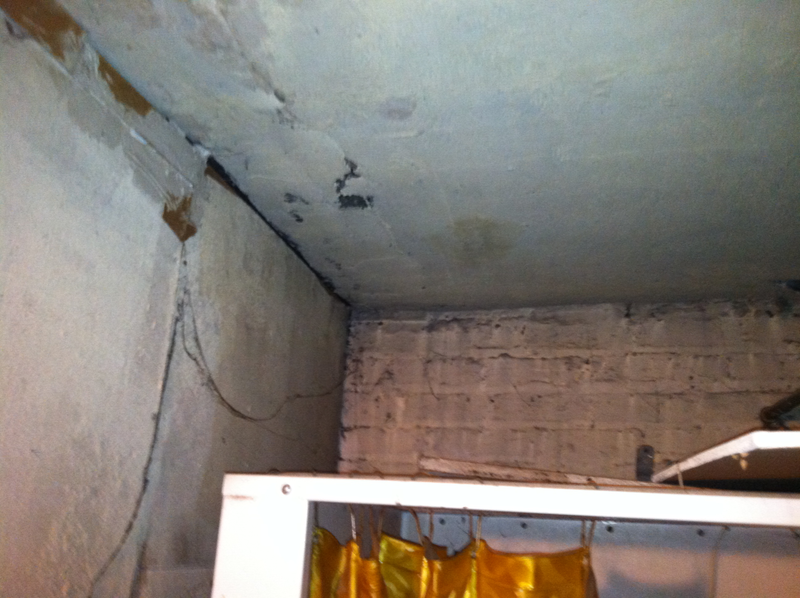 Illustration for article titled BLACK MOLD ADVICE: Pictures, questions and sympathy pie/cake